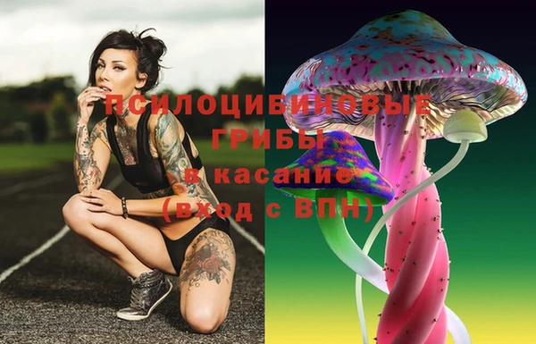 MESCALINE Зерноград