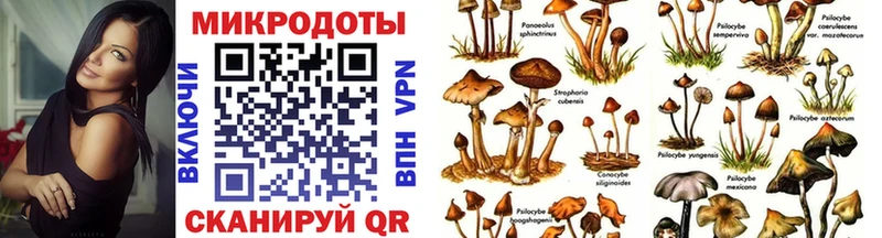 Галлюциногенные грибы MAGIC MUSHROOMS  Исилькуль 